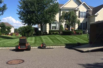 Weekly Lawn Maintenance