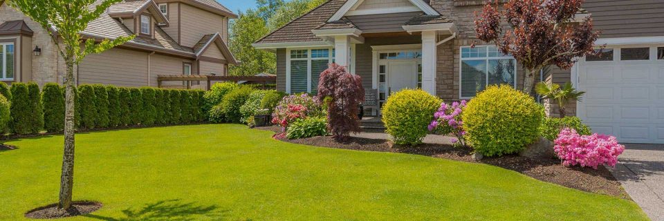Your lawn and landscape
the way it should be
