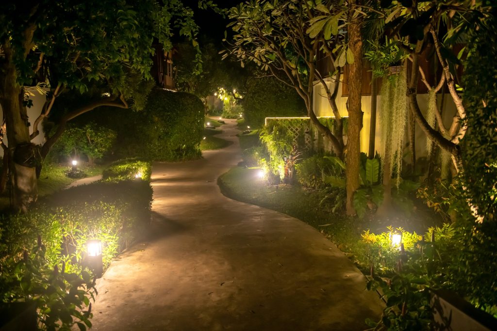 Professional Landscape Lighting